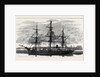The Eira Arctic Relief Expedition Under Captain Sir Allen Young: The Exploring Steam Vessel Hope by Anonymous