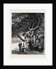 Kit, a Memory; the Long Looked-for Branch. by Anonymous
