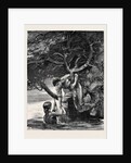 Kit, a Memory; the Long Looked-for Branch. by Anonymous