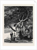 Kit, a Memory; the Long Looked-for Branch. by Anonymous