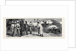 The Occupation of Alexandria: Egyptian Prisoners in the Arsenal by Anonymous