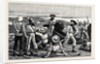 Blue-Jackets in Possession at Fort Kom-El-Dik, Alexandria by Anonymous