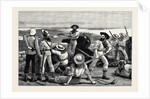 Blue-Jackets in Possession at Fort Kom-El-Dik, Alexandria by Anonymous