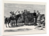 Major-General H.R.H. The Duke of Connaught Viewing Arabi's Position from the Forty-Pound Battery at Ramleh by Anonymous