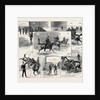 Glimpses of the Life of a Cavalry Subaltern by Anonymous