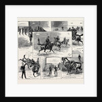 Glimpses of the Life of a Cavalry Subaltern by Anonymous