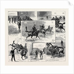 Glimpses of the Life of a Cavalry Subaltern by Anonymous