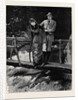 Kit, a Memory; Frank Found Himself Alone with Trenna Upon the Little Rustic Bridge that Spanned the Waterfall by Anonymous