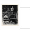 Kit, a Memory; Frank Found Himself Alone with Trenna Upon the Little Rustic Bridge that Spanned the Waterfall by Anonymous