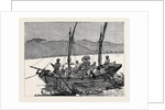 Maltese and Italian Fugitives from Cairo, Near Ismailia by Anonymous