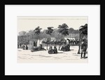 Camp of the Thirteenth Bengal Lancers Beside the Quay Mehemet Ali, Ismailia by Anonymous
