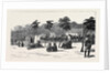 Camp of the Thirteenth Bengal Lancers Beside the Quay Mehemet Ali, Ismailia by Anonymous