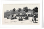 Camp of the Thirteenth Bengal Lancers Beside the Quay Mehemet Ali, Ismailia by Anonymous