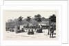 Camp of the Thirteenth Bengal Lancers Beside the Quay Mehemet Ali, Ismailia by Anonymous