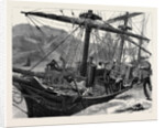 Kit, a Memory; a Sailor Fell from the Mainmast of a Ship in Mogadion Harbour, and Fractured His Skull by Anonymous