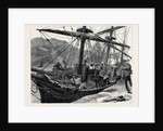 Kit, a Memory; a Sailor Fell from the Mainmast of a Ship in Mogadion Harbour, and Fractured His Skull by Anonymous