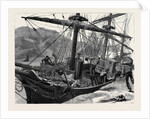 Kit, a Memory; a Sailor Fell from the Mainmast of a Ship in Mogadion Harbour, and Fractured His Skull by Anonymous