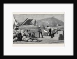 Tea in Camp at Tel-El-Mahuta, September 1, Ten P.M. by Anonymous