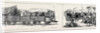 Armour-Plated Trucks Running Between Ismailia and the Front; Field Bakery, Ismailia by Anonymous