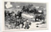 The Battle of Kassassin, September 9, Capture of Two Krupp Guns by the Royal Marines by Anonymous