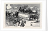 The Battle of Kassassin, September 9, Capture of Two Krupp Guns by the Royal Marines by Anonymous