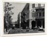 The British Occupation of Cairo: Rue De L'Hotel Shepheard, Egypt by Anonymous