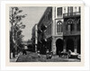 The British Occupation of Cairo: Rue De L'Hotel Shepheard, Egypt by Anonymous