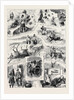 Mr. Aldgate-Lothbury in the Highlands by Anonymous