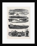 Oyster Culture at Arcachnon by Anonymous