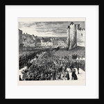 The Reception of the Second Life Guards at Windsor, the Mayor Presenting an Address to Colonel Ewart on Castle Hill by Anonymous