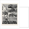 The Return of the Troops from Egypt, Scenes in the Streets During the March of the Royal Horse Guards (Blue) from the Docks to the Albany Street Barracks by Anonymous