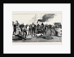 The Recent War in Egypt: The Royal Artillery at Portsmouth Preparing to Start Inland, Soldiers Teasing Arabi Smasher by Anonymous
