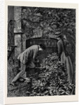 Kit, a Memory; Three of These Iron Uprights He Shook Lightly; Each of Them in Time Yielded, and Passing Them Through the Holes in the Bar that Formed Their Cross Support He Laid Them on the Margin of the Flower-Bed. by Anonymous