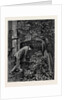 Kit, a Memory; Three of These Iron Uprights He Shook Lightly; Each of Them in Time Yielded, and Passing Them Through the Holes in the Bar that Formed Their Cross Support He Laid Them on the Margin of the Flower-Bed. by Anonymous