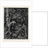 Kit, a Memory; Three of These Iron Uprights He Shook Lightly; Each of Them in Time Yielded, and Passing Them Through the Holes in the Bar that Formed Their Cross Support He Laid Them on the Margin of the Flower-Bed. by Anonymous
