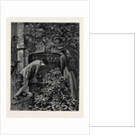 Kit, a Memory; Three of These Iron Uprights He Shook Lightly; Each of Them in Time Yielded, and Passing Them Through the Holes in the Bar that Formed Their Cross Support He Laid Them on the Margin of the Flower-Bed. by Anonymous