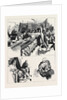 Belt Versus Lawes, the Sculptors' Libel Case: Notes in Court by Anonymous