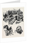 Belt Versus Lawes, the Sculptors' Libel Case: Notes in Court by Anonymous