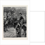 The Royal Review of the Troops from Egypt, a Sketch in the Mall: the Queen is Coming! by Anonymous