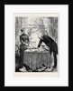 Kit, a Memory; Mr. Penryn Pieced Together the Fragments of the Newspaper, and Arranged Them on the Table. by Anonymous
