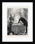 Kit, a Memory; Mr. Penryn Pieced Together the Fragments of the Newspaper, and Arranged Them on the Table. by Anonymous