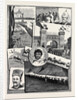 The Recent Campaign in Egypt: Festivities at Bombay in Honour of the Return of the Indian Contingent by Anonymous