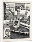 The Recent Campaign in Egypt: Festivities at Bombay in Honour of the Return of the Indian Contingent by Anonymous