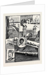The Recent Campaign in Egypt: Festivities at Bombay in Honour of the Return of the Indian Contingent by Anonymous