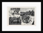 India, a March to a Hill Station with Invalids by Anonymous