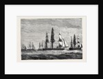 The Cruise of the Pacific Squadron, Dining Out by Anonymous