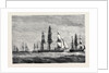 The Cruise of the Pacific Squadron, Dining Out by Anonymous