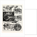 The Man-Eating Tiger of Junglepoor by Anonymous