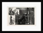 The Burmese Priests and Mr. Barnum's Elephant at the Zoological Gardens by Anonymous