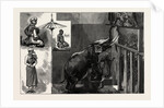 The Burmese Priests and Mr. Barnum's Elephant at the Zoological Gardens by Anonymous